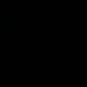 Meet your Posher, Sal